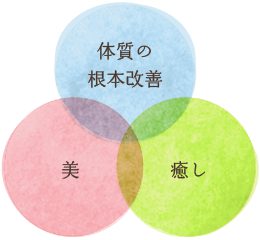 体質の改善・美・癒し